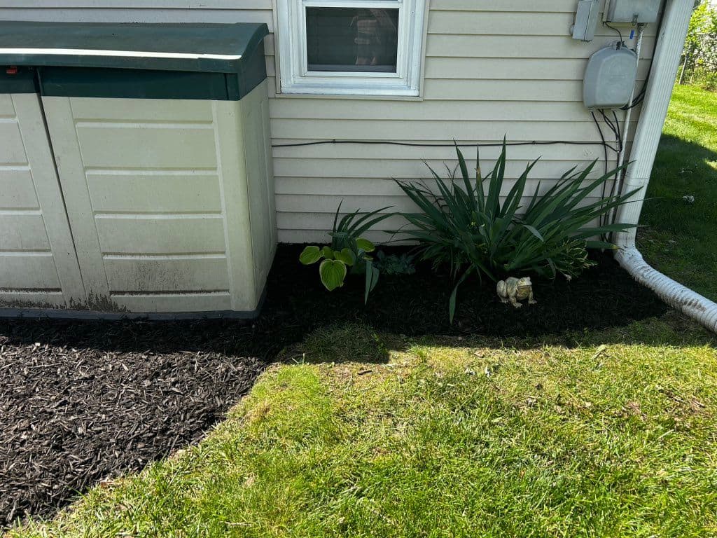 Dark mulched flower bed with hosta and yucca plants along house foundation